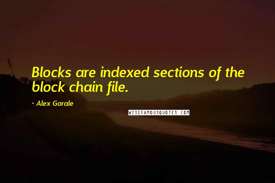 Alex Gorale Quotes: Blocks are indexed sections of the block chain file.