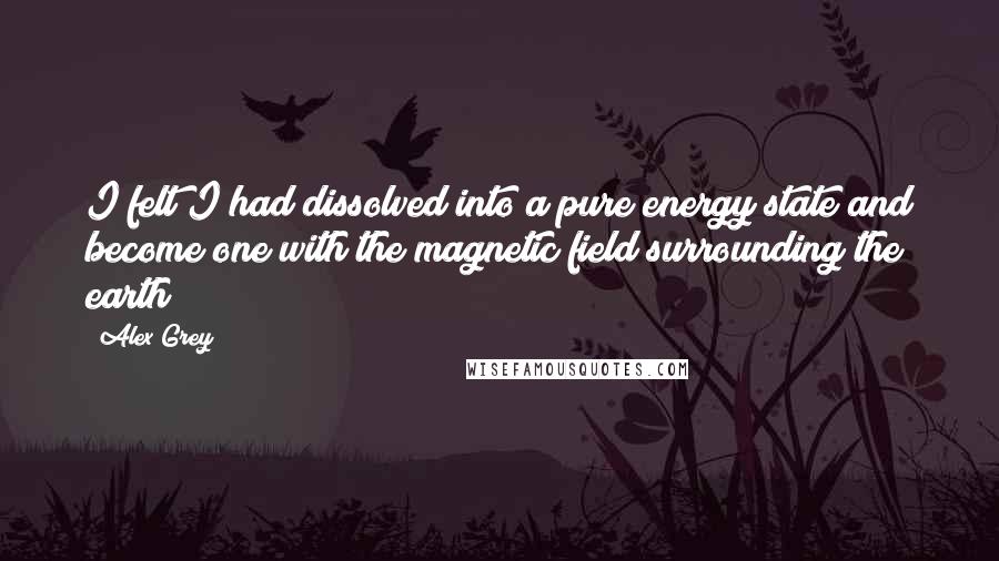 Alex Grey Quotes: I felt I had dissolved into a pure energy state and become one with the magnetic field surrounding the earth