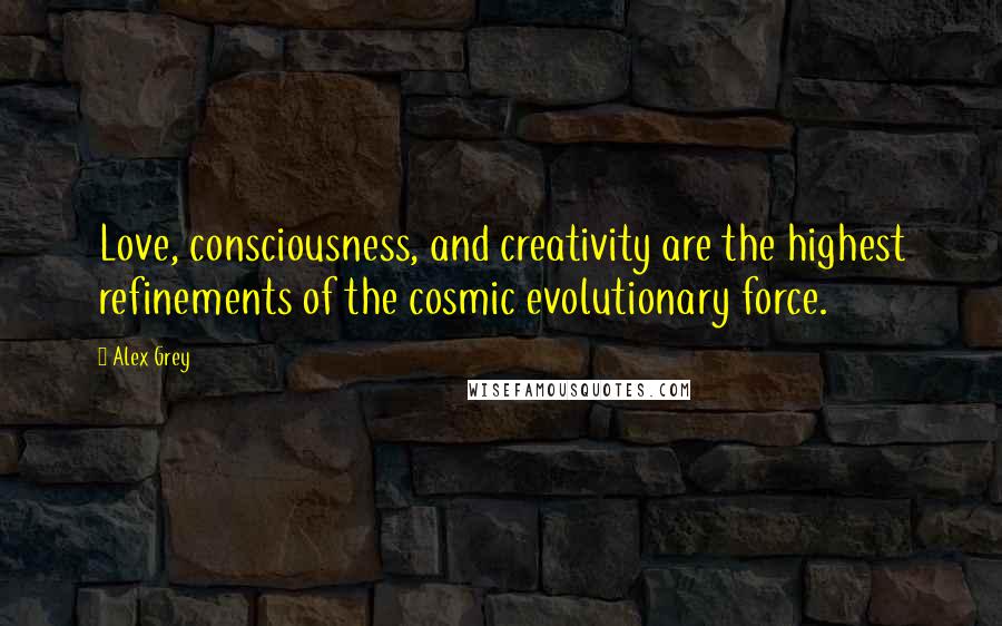 Alex Grey Quotes: Love, consciousness, and creativity are the highest refinements of the cosmic evolutionary force.