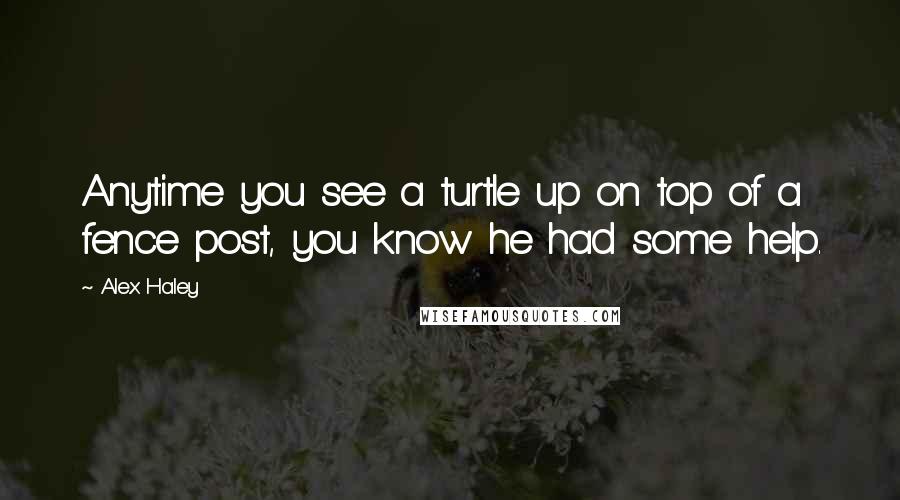 Alex Haley Quotes: Anytime you see a turtle up on top of a fence post, you know he had some help.