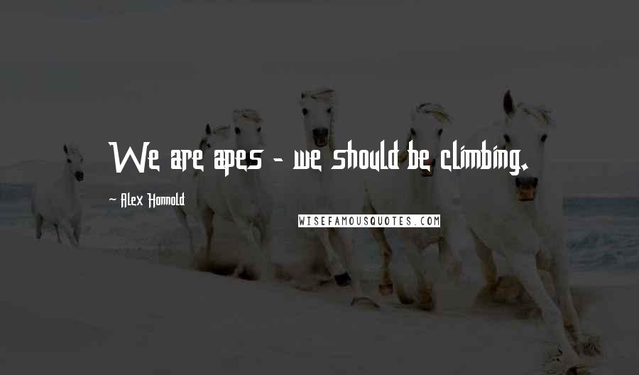 Alex Honnold Quotes: We are apes - we should be climbing.