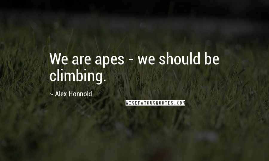 Alex Honnold Quotes: We are apes - we should be climbing.