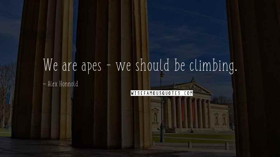 Alex Honnold Quotes: We are apes - we should be climbing.