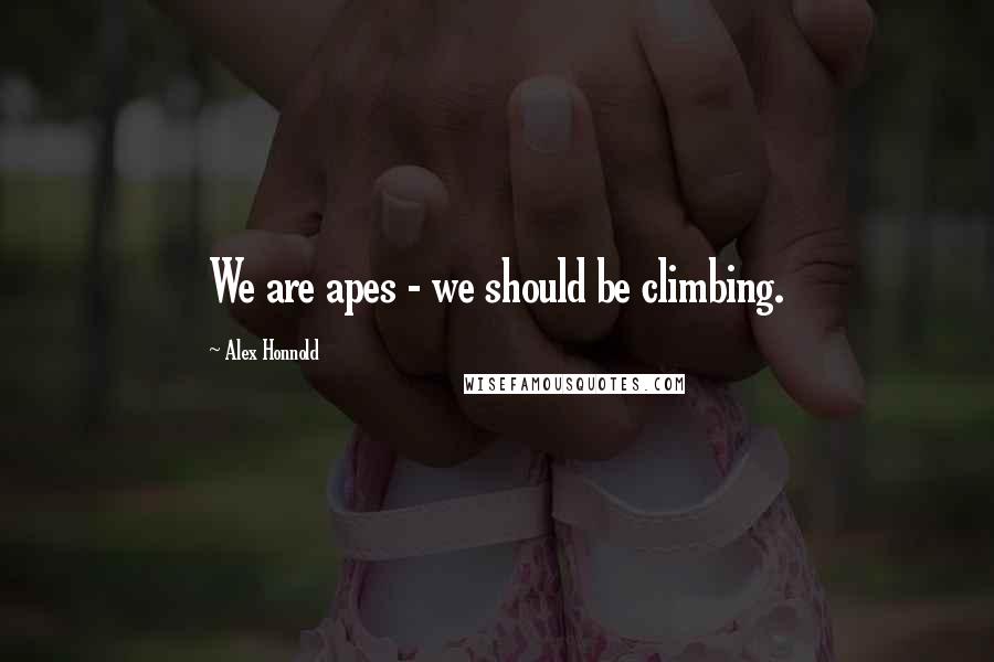 Alex Honnold Quotes: We are apes - we should be climbing.