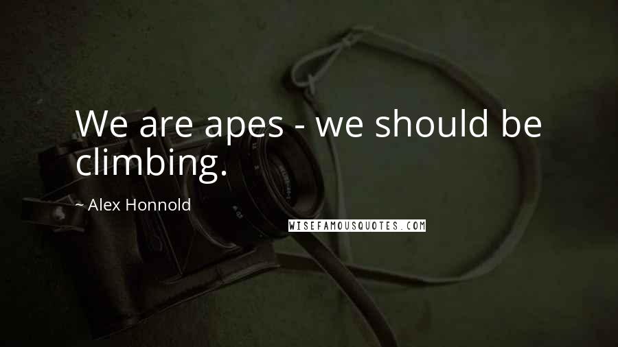 Alex Honnold Quotes: We are apes - we should be climbing.