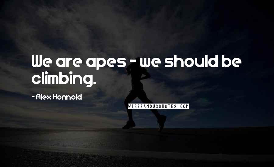 Alex Honnold Quotes: We are apes - we should be climbing.