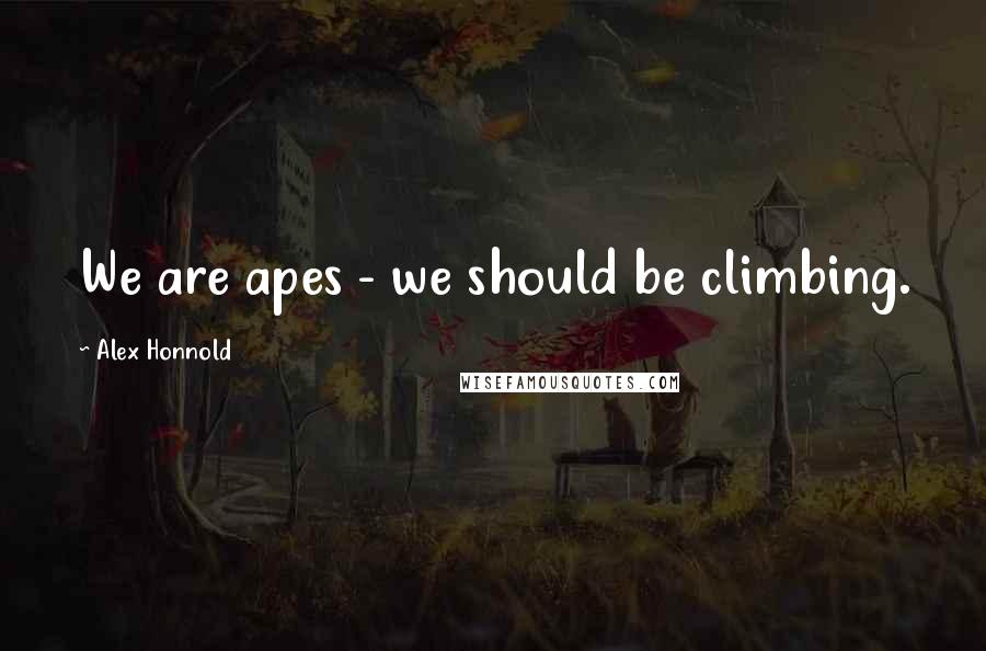 Alex Honnold Quotes: We are apes - we should be climbing.