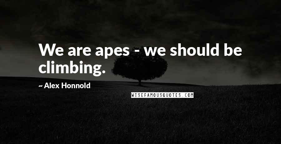 Alex Honnold Quotes: We are apes - we should be climbing.