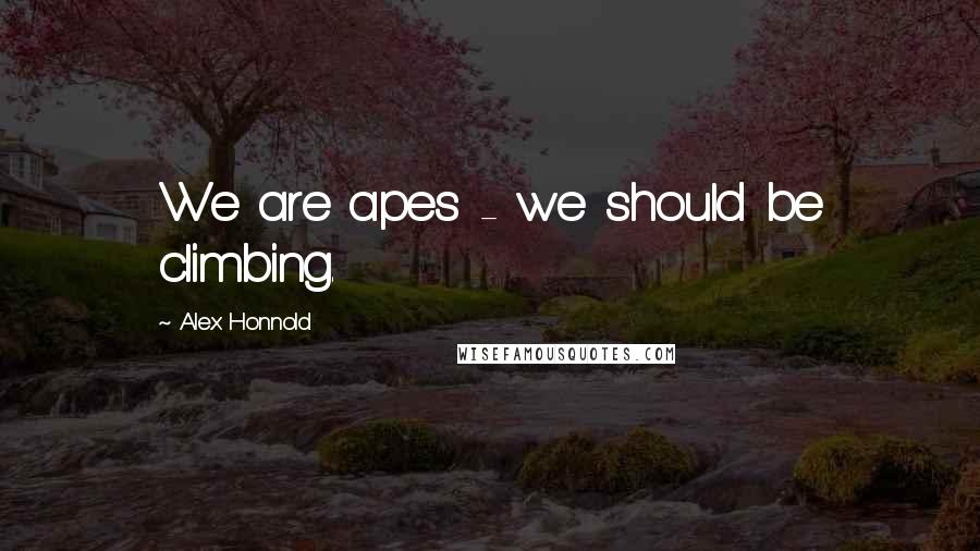 Alex Honnold Quotes: We are apes - we should be climbing.