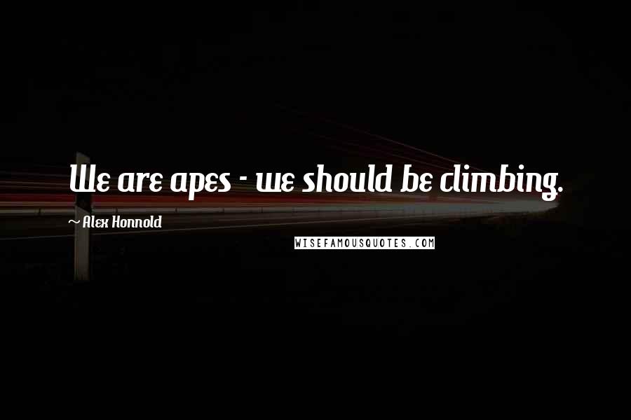 Alex Honnold Quotes: We are apes - we should be climbing.