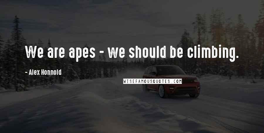 Alex Honnold Quotes: We are apes - we should be climbing.