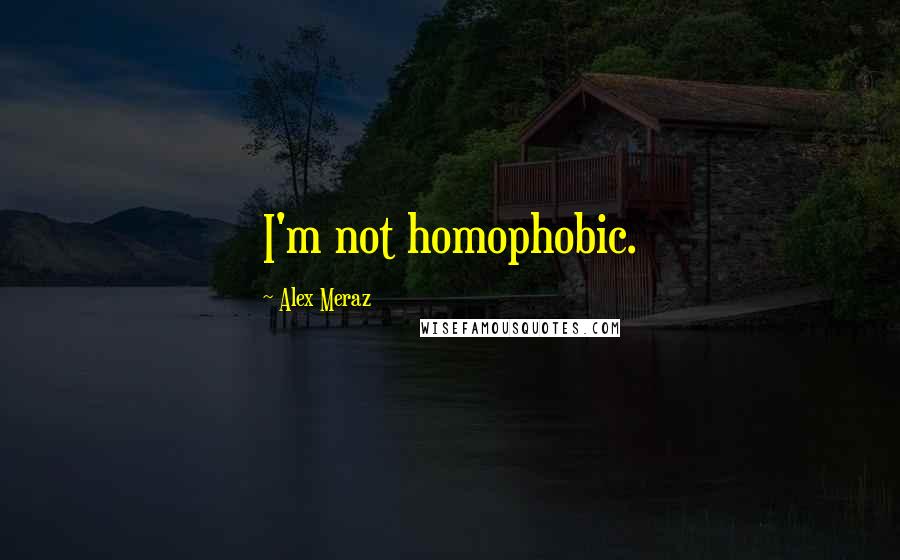 Alex Meraz Quotes: I'm not homophobic.