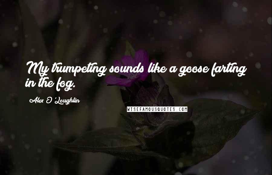 Alex O'Loughlin Quotes: My trumpeting sounds like a goose farting in the fog.