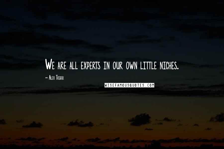 Alex Trebek Quotes: We are all experts in our own little niches.