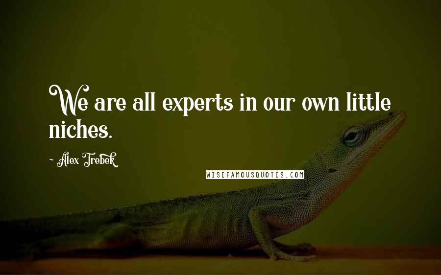 Alex Trebek Quotes: We are all experts in our own little niches.