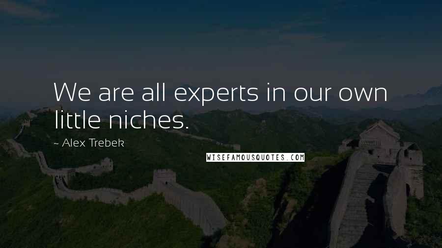 Alex Trebek Quotes: We are all experts in our own little niches.