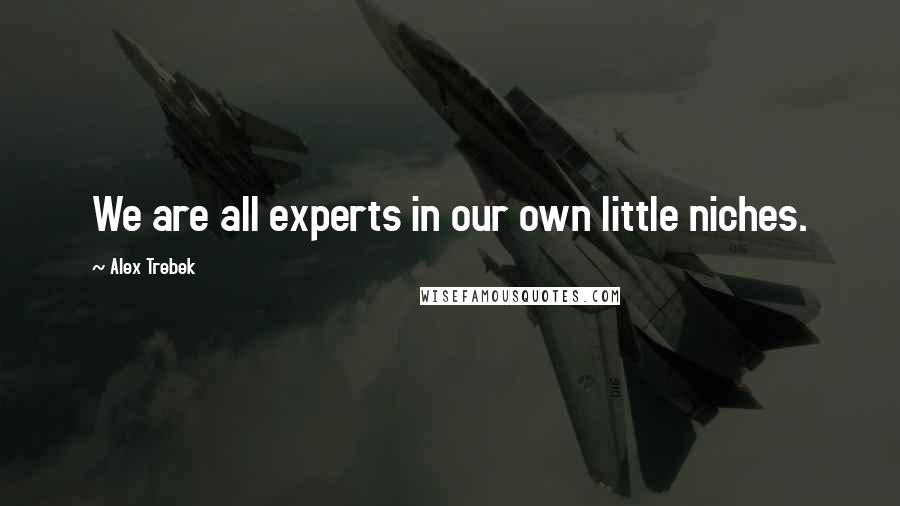 Alex Trebek Quotes: We are all experts in our own little niches.