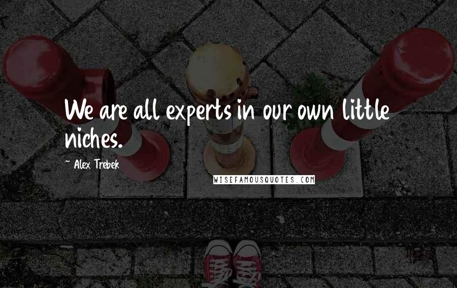 Alex Trebek Quotes: We are all experts in our own little niches.