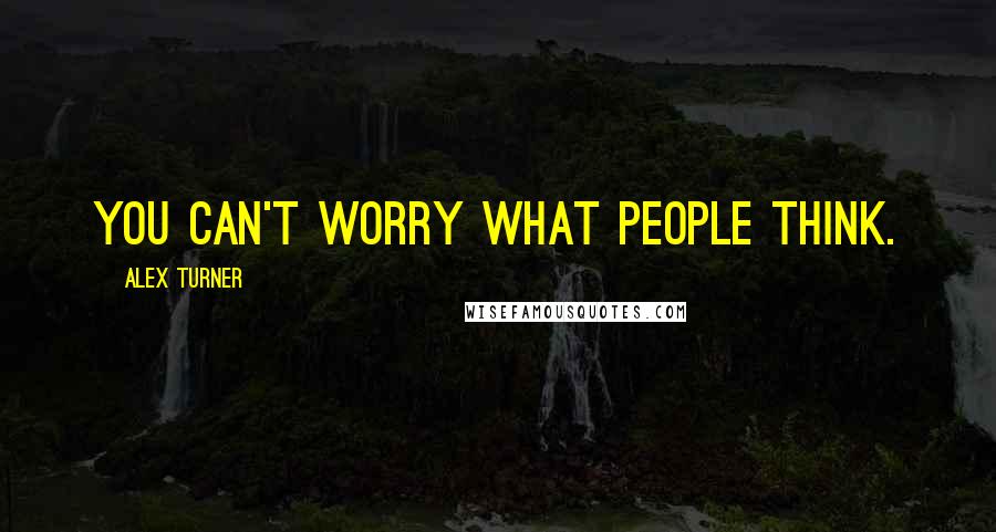 Alex Turner Quotes: You can't worry what people think.