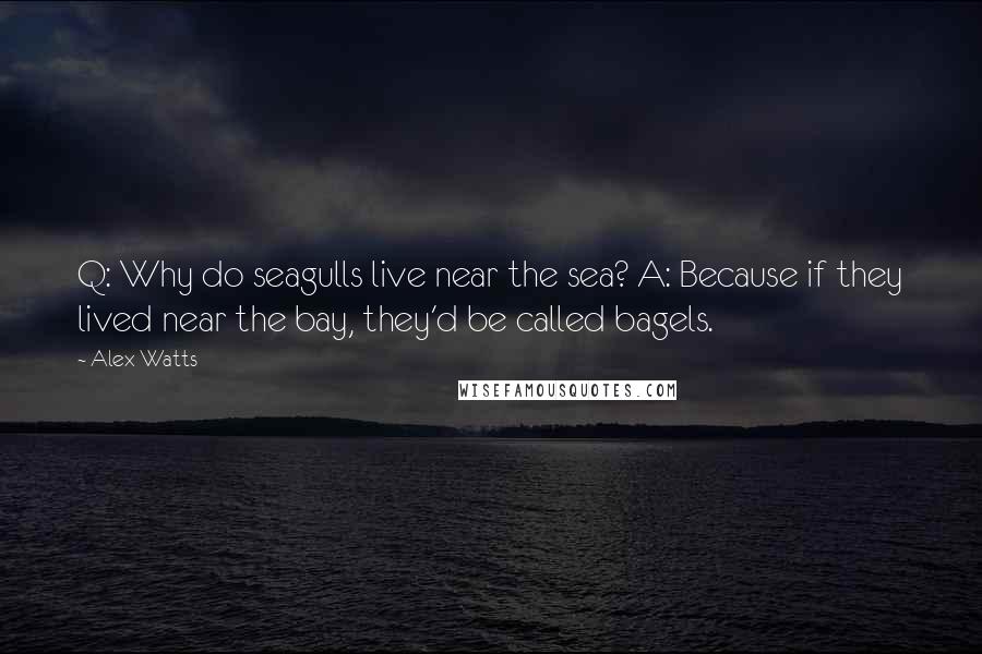 Alex Watts Quotes: Q: Why do seagulls live near the sea? A: Because if they lived near the bay, they'd be called bagels.