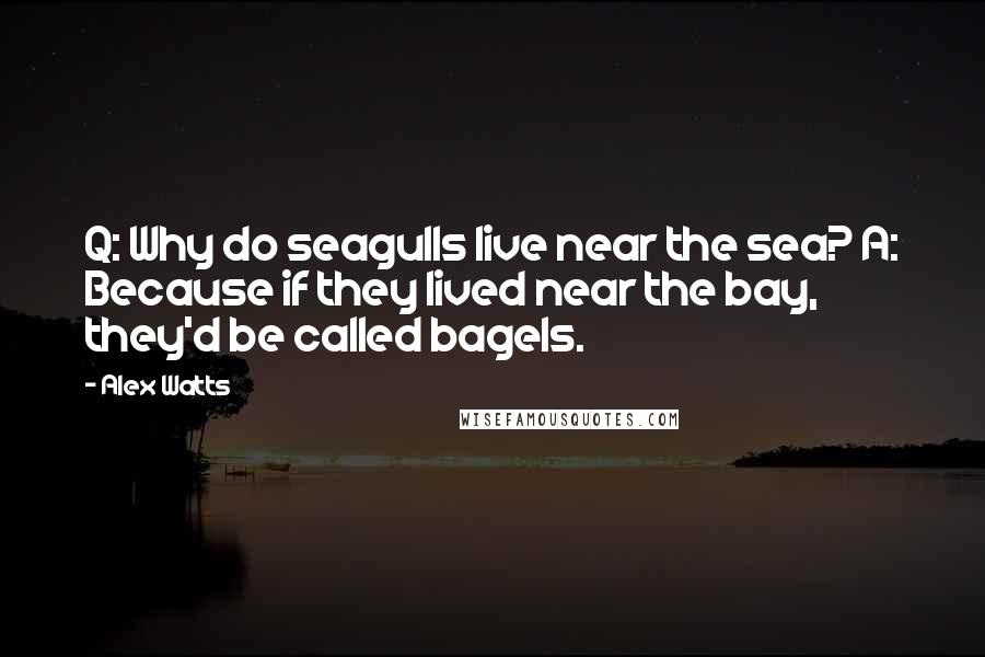 Alex Watts Quotes: Q: Why do seagulls live near the sea? A: Because if they lived near the bay, they'd be called bagels.