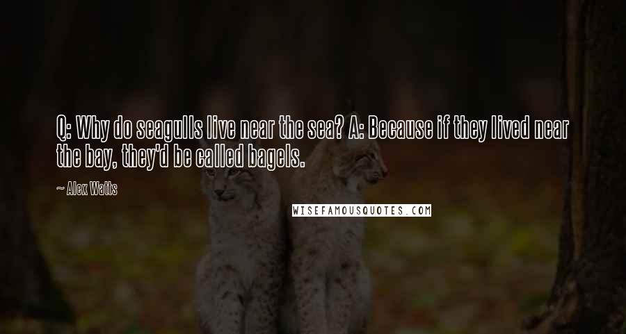 Alex Watts Quotes: Q: Why do seagulls live near the sea? A: Because if they lived near the bay, they'd be called bagels.