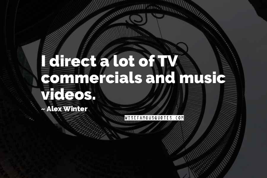 Alex Winter Quotes: I direct a lot of TV commercials and music videos.