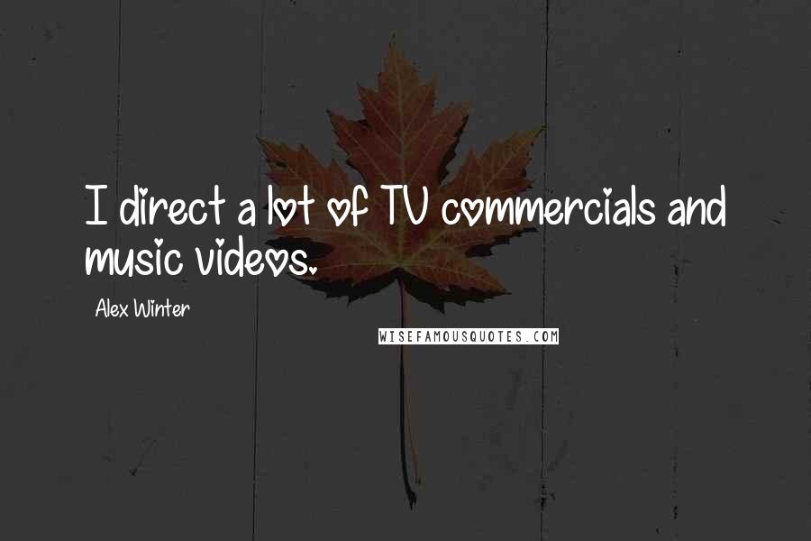 Alex Winter Quotes: I direct a lot of TV commercials and music videos.