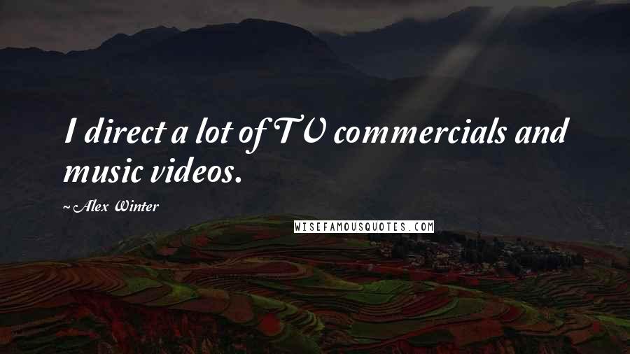 Alex Winter Quotes: I direct a lot of TV commercials and music videos.