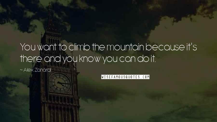 Alex Zanardi Quotes: You want to climb the mountain because it's there and you know you can do it.