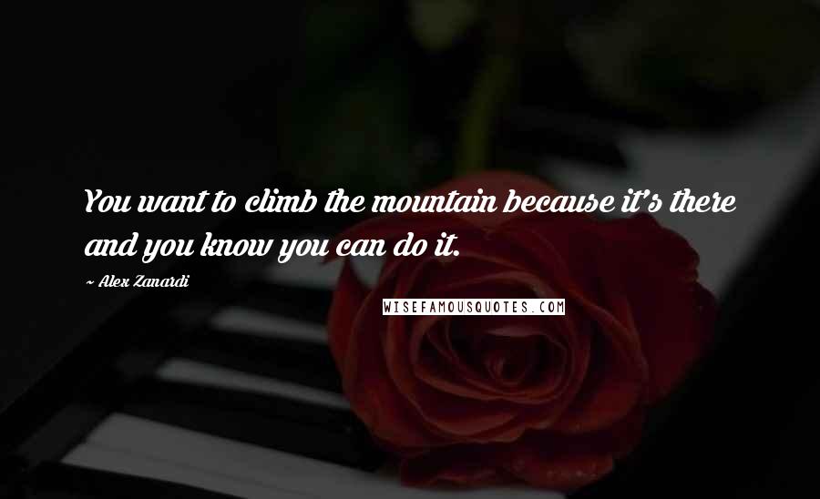 Alex Zanardi Quotes: You want to climb the mountain because it's there and you know you can do it.