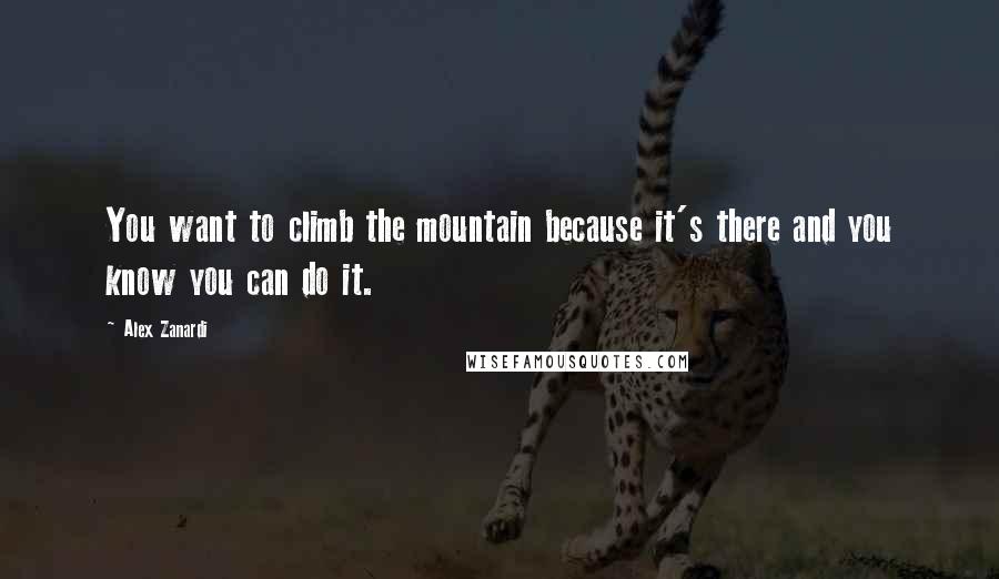 Alex Zanardi Quotes: You want to climb the mountain because it's there and you know you can do it.