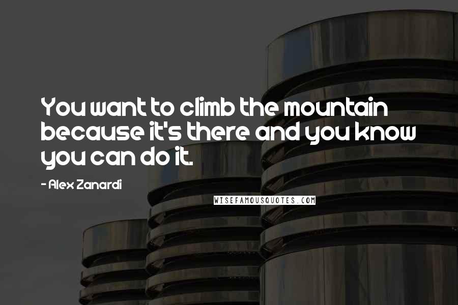 Alex Zanardi Quotes: You want to climb the mountain because it's there and you know you can do it.