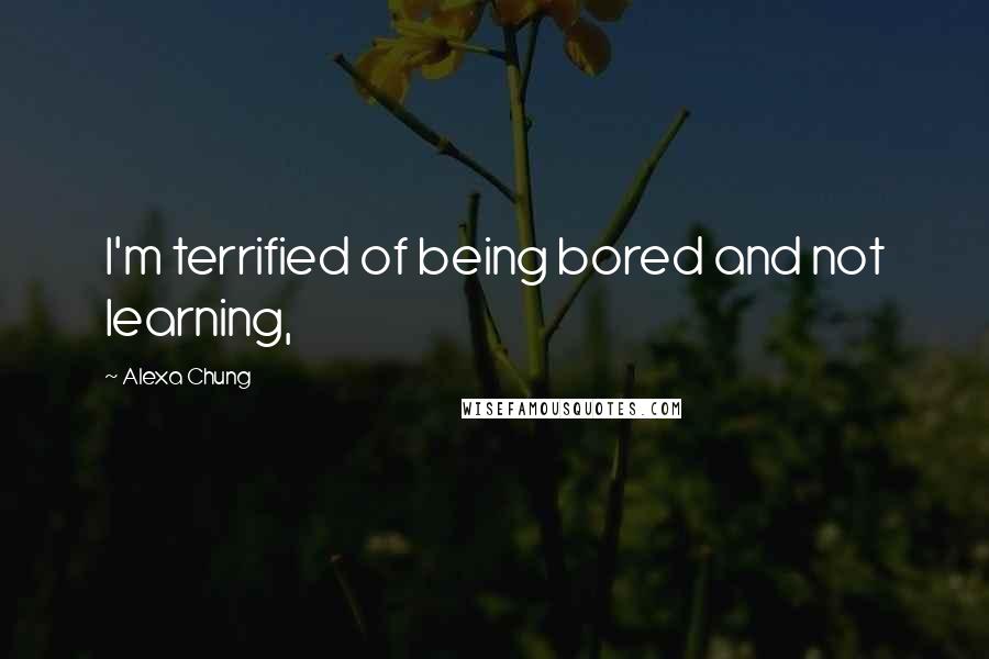 Alexa Chung Quotes: I'm terrified of being bored and not learning,
