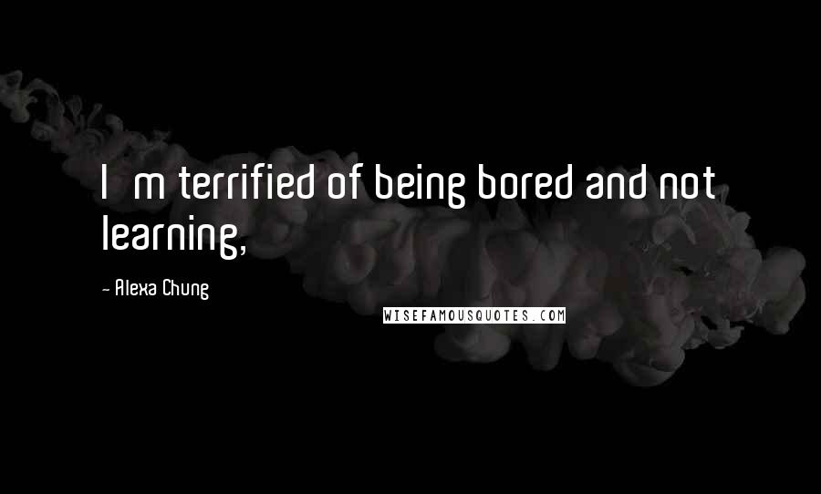 Alexa Chung Quotes: I'm terrified of being bored and not learning,