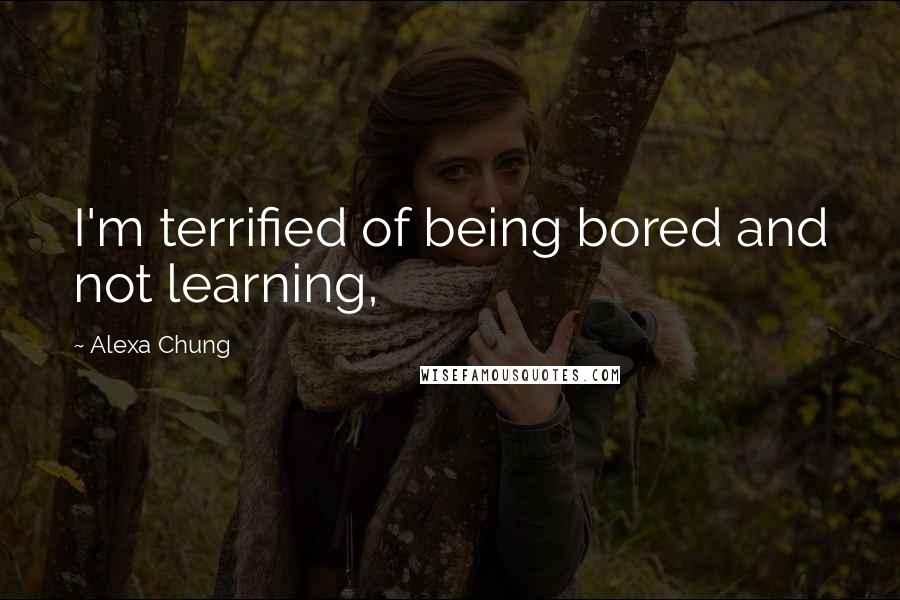 Alexa Chung Quotes: I'm terrified of being bored and not learning,