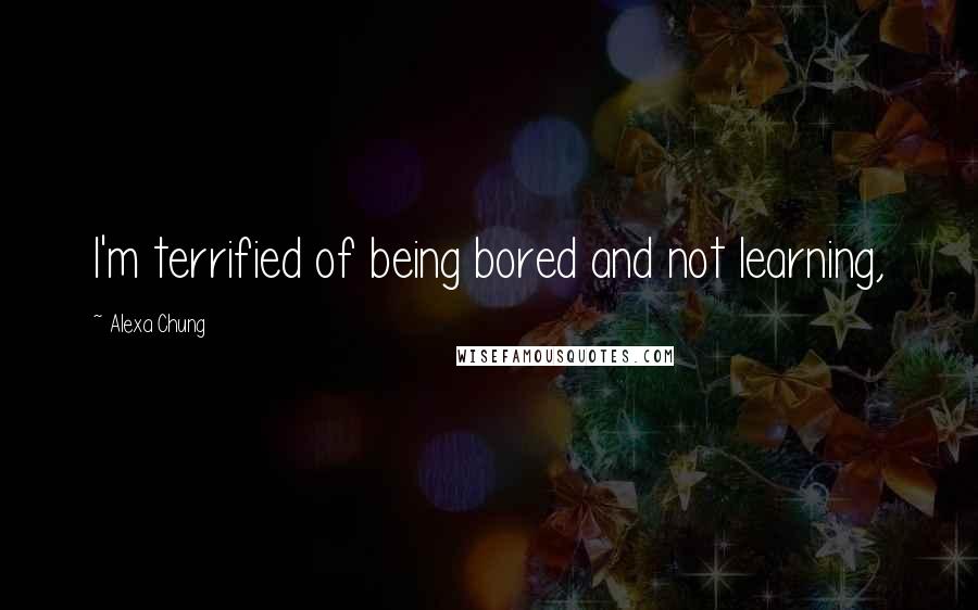 Alexa Chung Quotes: I'm terrified of being bored and not learning,