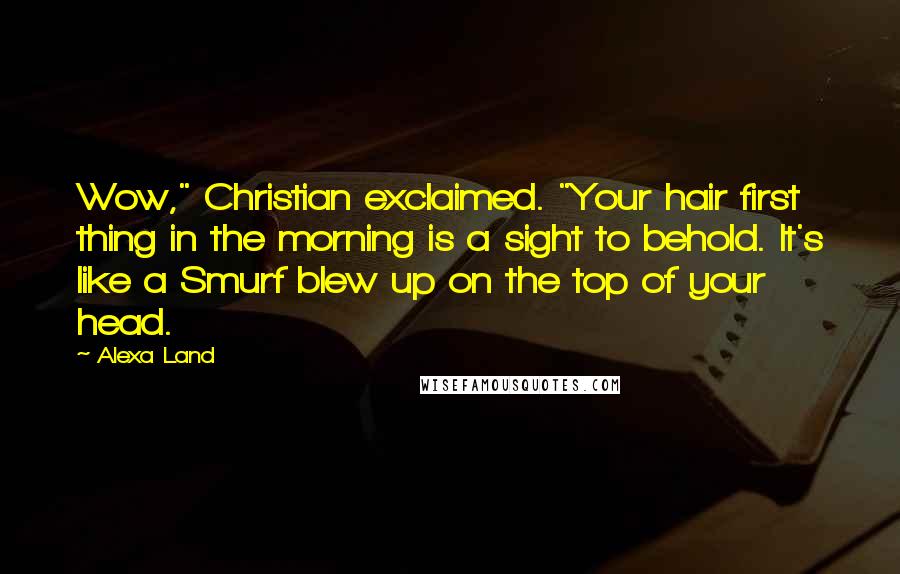 Alexa Land Quotes: Wow," Christian exclaimed. "Your hair first thing in the morning is a sight to behold. It's like a Smurf blew up on the top of your head.