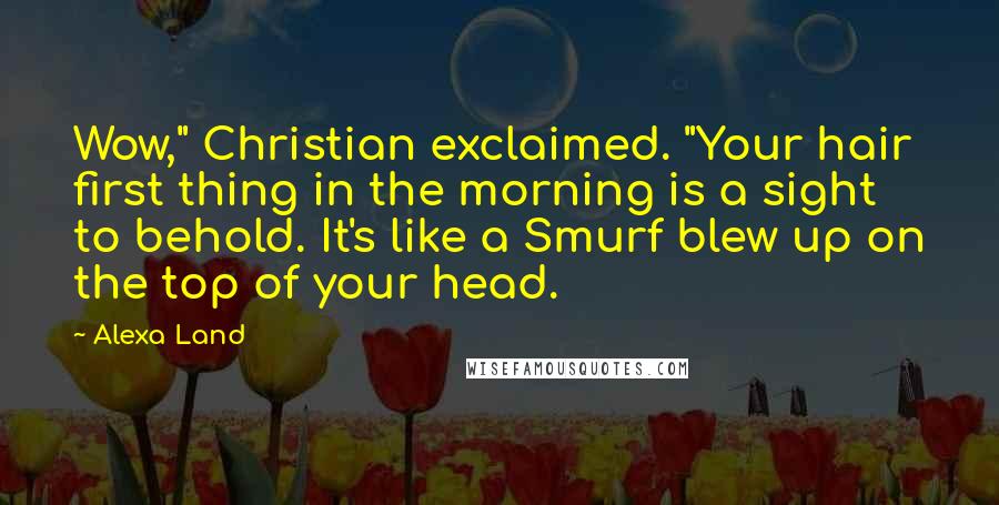 Alexa Land Quotes: Wow," Christian exclaimed. "Your hair first thing in the morning is a sight to behold. It's like a Smurf blew up on the top of your head.