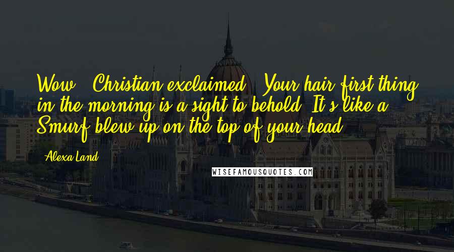 Alexa Land Quotes: Wow," Christian exclaimed. "Your hair first thing in the morning is a sight to behold. It's like a Smurf blew up on the top of your head.