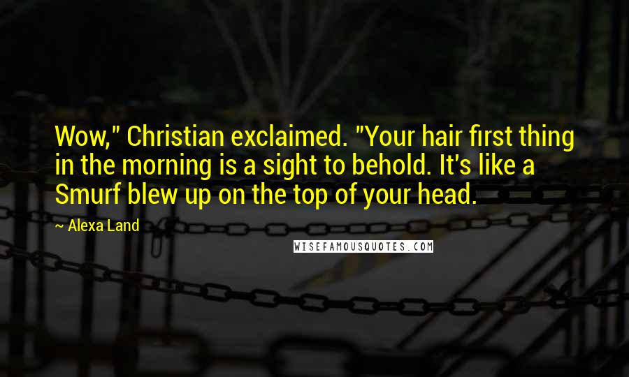 Alexa Land Quotes: Wow," Christian exclaimed. "Your hair first thing in the morning is a sight to behold. It's like a Smurf blew up on the top of your head.