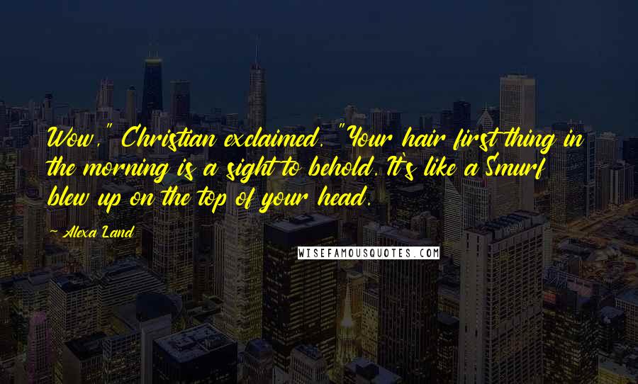 Alexa Land Quotes: Wow," Christian exclaimed. "Your hair first thing in the morning is a sight to behold. It's like a Smurf blew up on the top of your head.