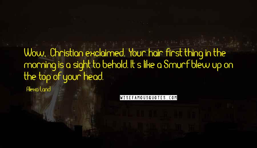 Alexa Land Quotes: Wow," Christian exclaimed. "Your hair first thing in the morning is a sight to behold. It's like a Smurf blew up on the top of your head.