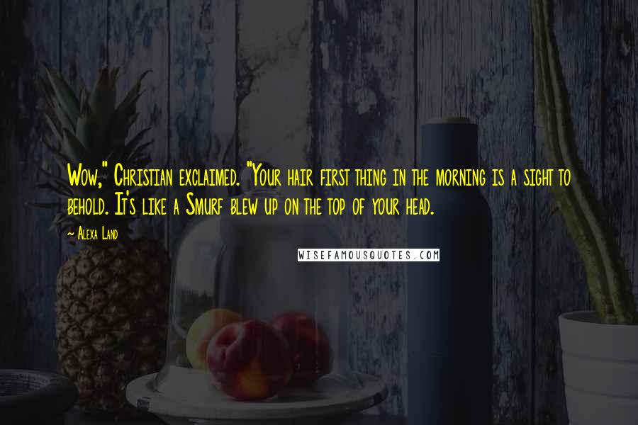 Alexa Land Quotes: Wow," Christian exclaimed. "Your hair first thing in the morning is a sight to behold. It's like a Smurf blew up on the top of your head.