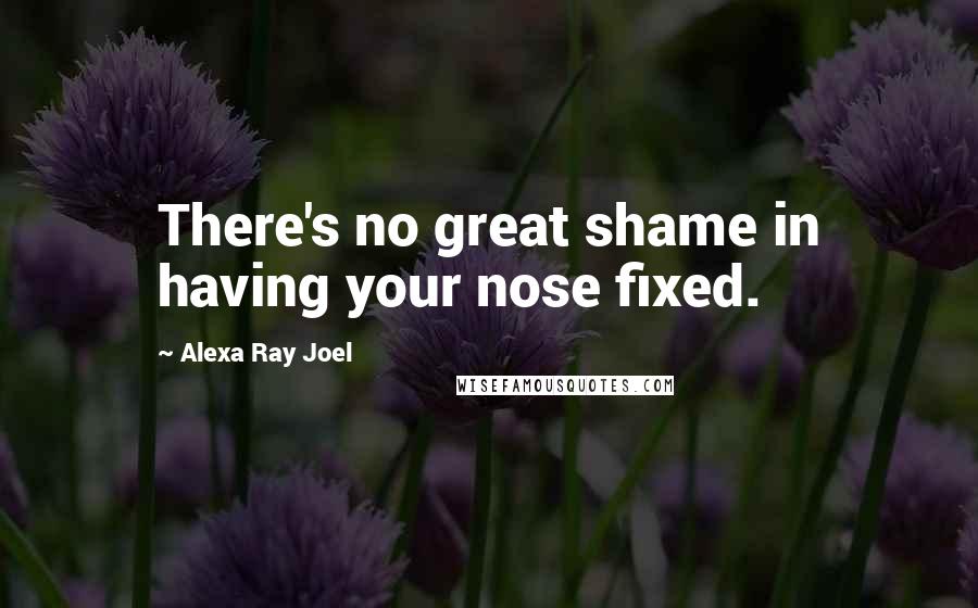 Alexa Ray Joel Quotes: There's no great shame in having your nose fixed.