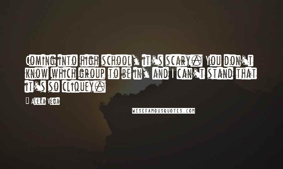 Alexa Vega Quotes: Coming into high school, it's scary. You don't know which group to be in, and I can't stand that it's so cliquey.