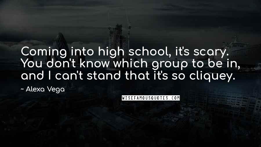 Alexa Vega Quotes: Coming into high school, it's scary. You don't know which group to be in, and I can't stand that it's so cliquey.