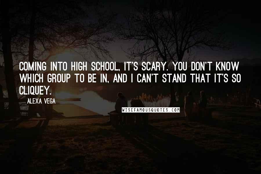 Alexa Vega Quotes: Coming into high school, it's scary. You don't know which group to be in, and I can't stand that it's so cliquey.