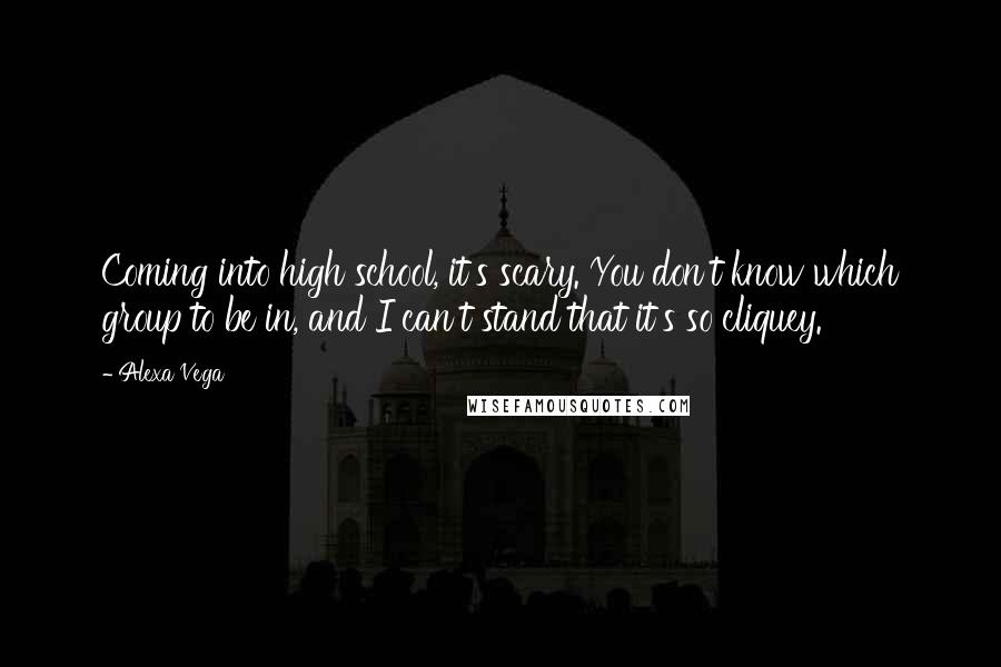 Alexa Vega Quotes: Coming into high school, it's scary. You don't know which group to be in, and I can't stand that it's so cliquey.