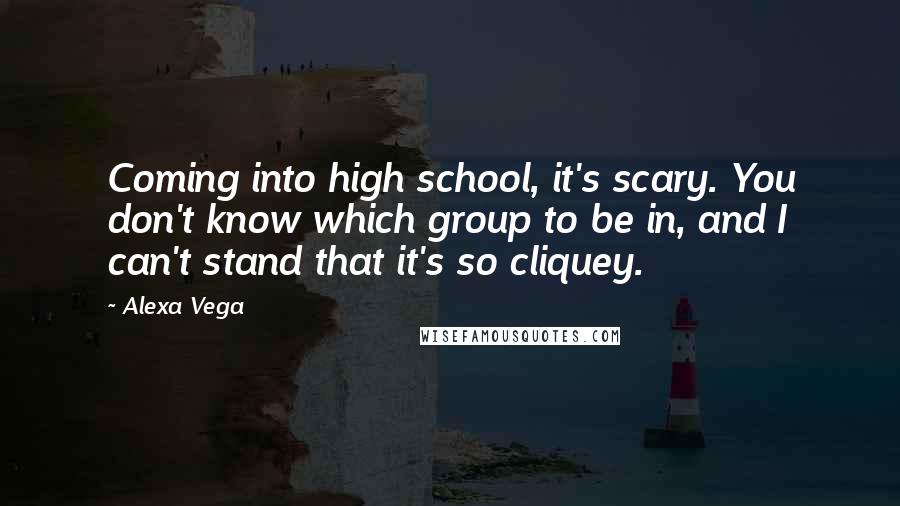 Alexa Vega Quotes: Coming into high school, it's scary. You don't know which group to be in, and I can't stand that it's so cliquey.
